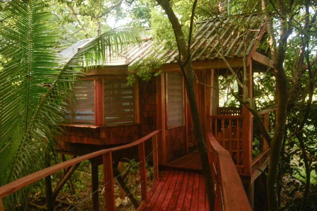 Tukulolo Treehouses Makaunga Ngoại thất bức ảnh