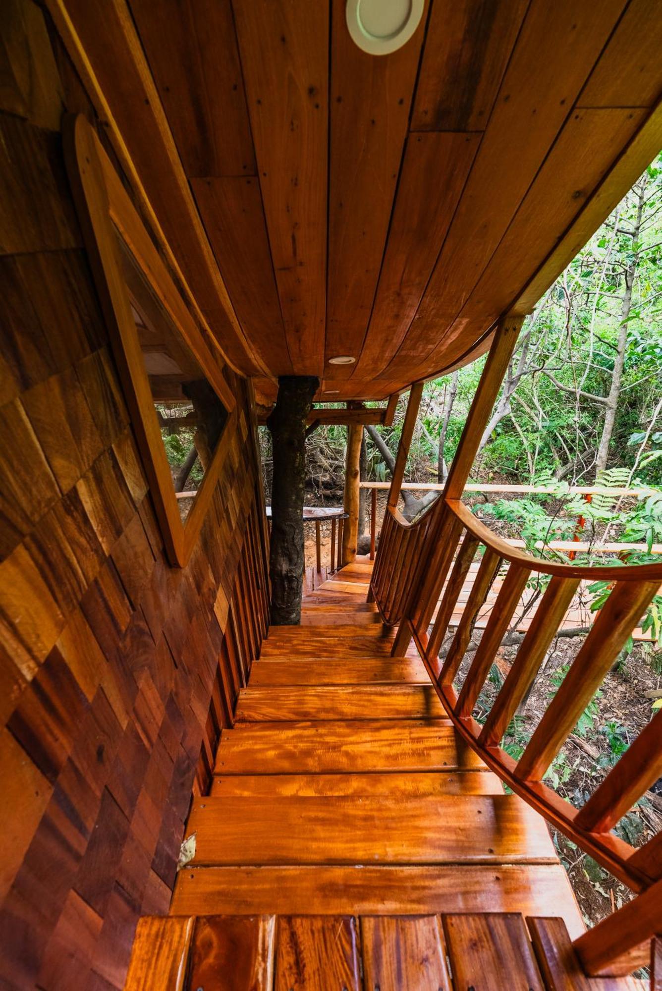 Tukulolo Treehouses Makaunga Ngoại thất bức ảnh