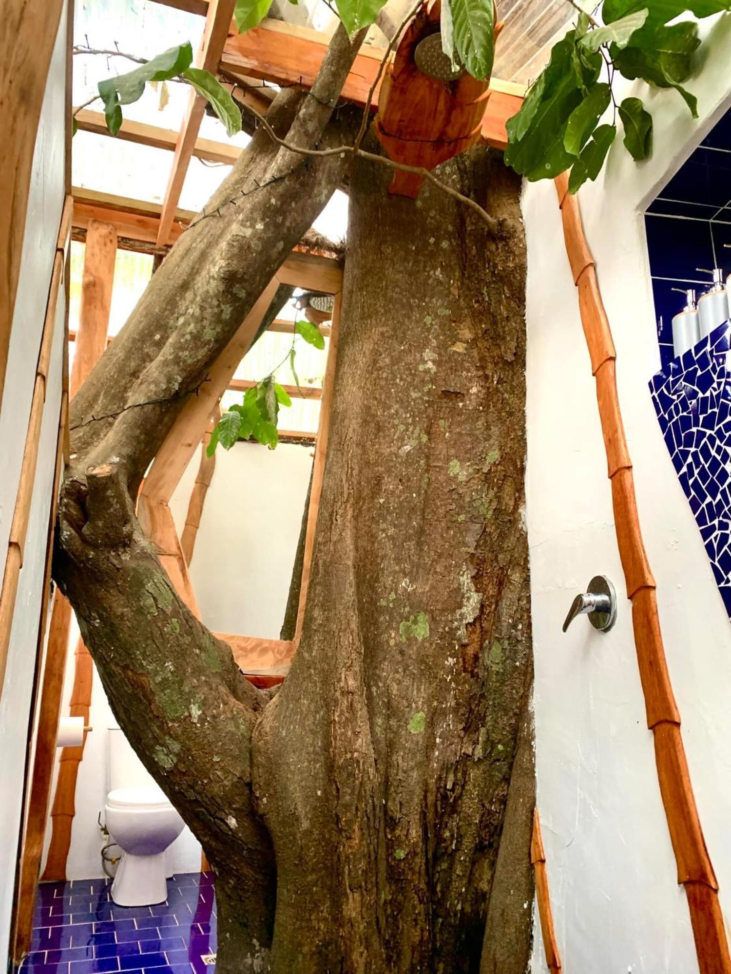 Tukulolo Treehouses Makaunga Ngoại thất bức ảnh