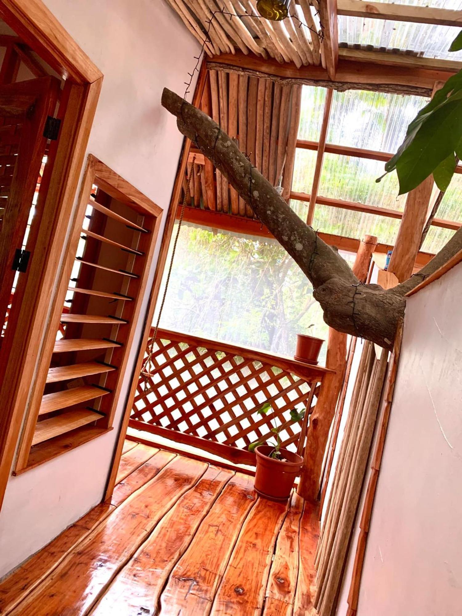 Tukulolo Treehouses Makaunga Ngoại thất bức ảnh
