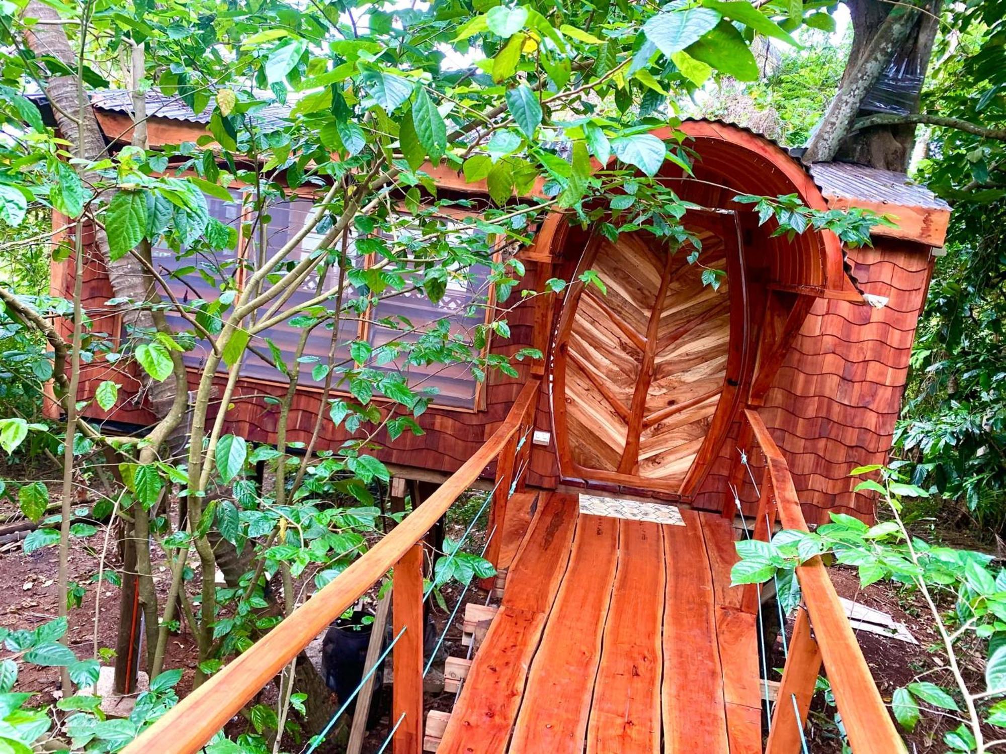 Tukulolo Treehouses Makaunga Ngoại thất bức ảnh