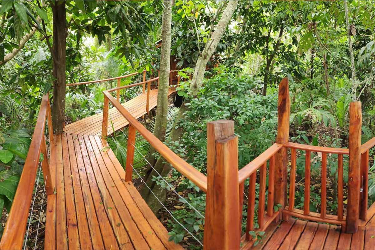 Tukulolo Treehouses Makaunga Ngoại thất bức ảnh